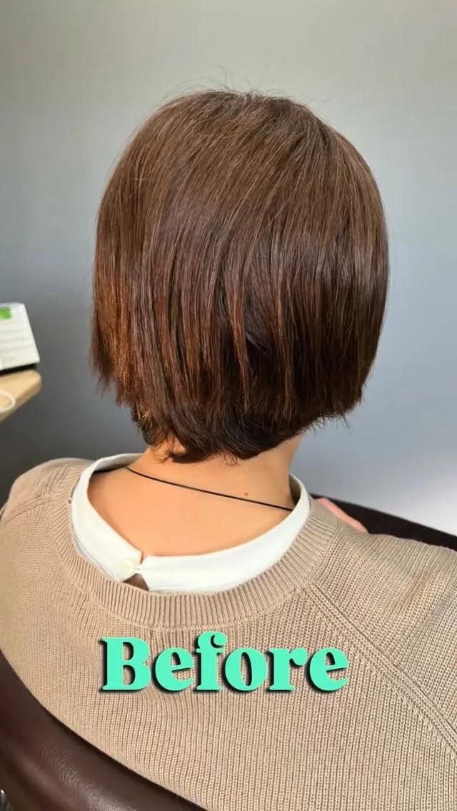 ⚜️メテオカラー＋TR⚜️