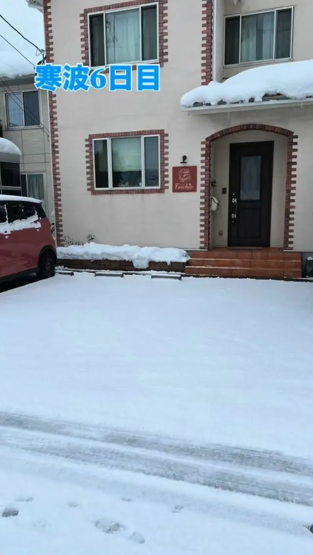 ☃️寒波6日目☃️
